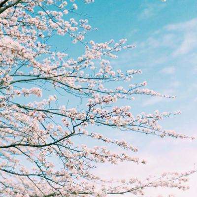 皇冠APP下载安装